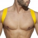 Addicted Spider Harness - Yellow