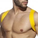 Addicted Spider Harness - Yellow