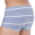 Sweet Banana Greek Frame Swim Trunks - White - Blue