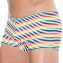 Sweet Banana Rainbow Stripes Swim Trunks - Multicolor