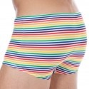 Sweet Banana Rainbow Stripes Swim Trunks - Multicolor