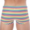 Sweet Banana Rainbow Stripes Swim Trunks - Multicolor