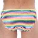 Sweet Banana Rainbow Stripes Swim Briefs - Multicolor