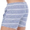 Sweet Banana Greek Frame Swim Shorts - White - Blue