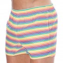 Sweet Banana Rainbow Stripes Swim Shorts - Multicolor