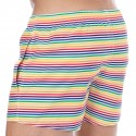 Sweet Banana Rainbow Stripes Swim Shorts - Multicolor