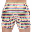 Sweet Banana Rainbow Stripes Swim Shorts - Multicolor