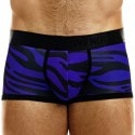 Modus Vivendi Boxer Tiger Bleu