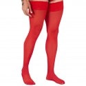 CandyMan Mesh Thigh-Highs - Red