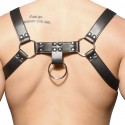 Andrew Christian Ring Harness - Black