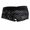 CandyMan Stripe Mesh Lace Trunks - Black