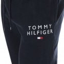 Tommy Hilfiger Embroidered Logo Track Pants - Blue