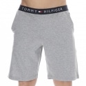 Tommy Hilfiger Jersey Shorts - Heather Grey