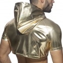 Addicted Metallic Crop Top - Gold