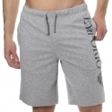 Emporio Armani Shiny Big Logo Shorts - Heather Grey