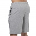 Emporio Armani Shiny Big Logo Shorts - Heather Grey