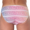 Sweet Banana Greek Frame Swim Briefs - Rainbow