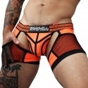 Breedwell Boxer Jock Chock Hybred Orange Fluo