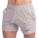 Quriosé 24H Joy Shorts - Heather Grey