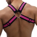 Breedwell Daycrawler Circuit Harness - Black - Neon Pink