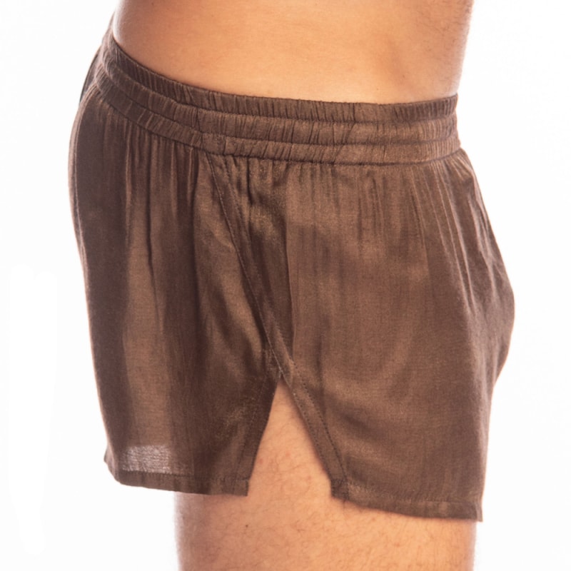 L'Homme invisible Golden Boy Weensy Split Shorts - Brown