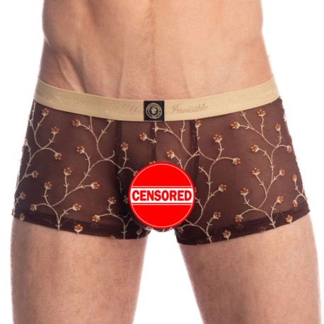 Sexy Men's Stretch Underwear Transparent Mesh See Through Boxer Briefs  Shorts