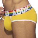 Addicted 6-Pack Rainbow Briefs - Multicolor