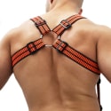 Breedwell Hybred Body Harness - Black - Neon Orange