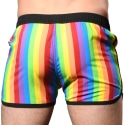 Andrew Christian Pride Swim Shorts - Rainbow