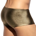 ES Collection Art Deco Metallic Trunks - Gold