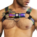 Breedwell Pride Reflector Harness - Rainbow