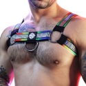 Breedwell Pride Reflector Harness - Rainbow