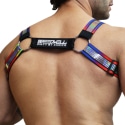 Breedwell Pride Reflector Harness - Rainbow