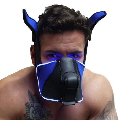 Breedwell Poundtown Pup Mask 2.0 - Black - Blue