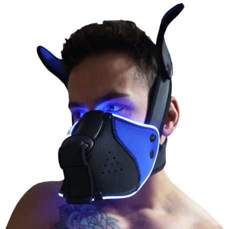 Breedwell Poundtown Pup Mask 2.0 - Black - Blue