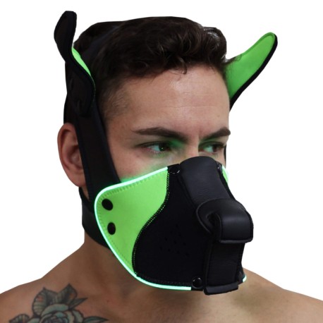 Breedwell Poundtown Pup Mask 2.0 - Black - Neon Green