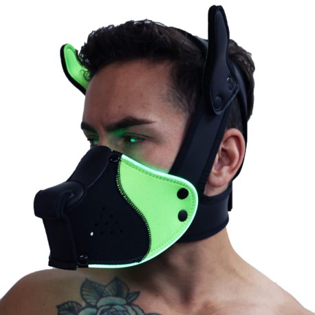 Breedwell Poundtown Pup Mask 2.0 - Black - Neon Green