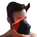 Breedwell Poundtown Pup Mask 2.0 - Black - Red