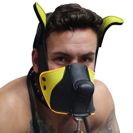 Breedwell Masque de Chiot Poundtown Pup 2.0 - Noir - Jaune