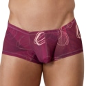 Clever Shorty Latin Ramo Bordeaux