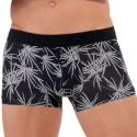 HOM Boxer Court Lanzarote Noir