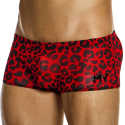 Modus Vivendi Boxer Brazil Léopard Rouge