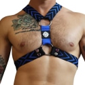 Breedwell Dickmatized Harness - Black - Blue