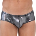 Clever Chakra Briefs - Silver