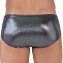 Clever Chakra Briefs - Silver