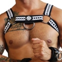 Breedwell Daddy's Favorite Bulldog Harness - Black - White