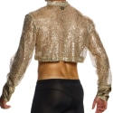 Modus Vivendi Harem Crop Top - Gold