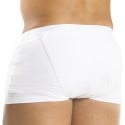 Modus Vivendi Boxer Dyer Blanc