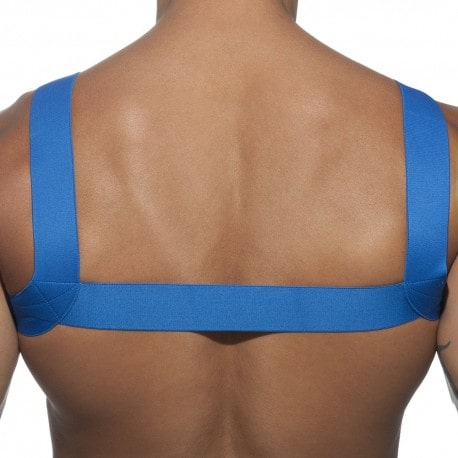 Basic Elastic Harness - Royal