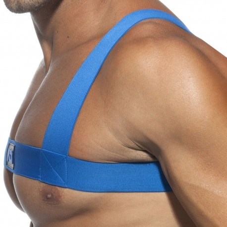 Basic Elastic Harness - Royal